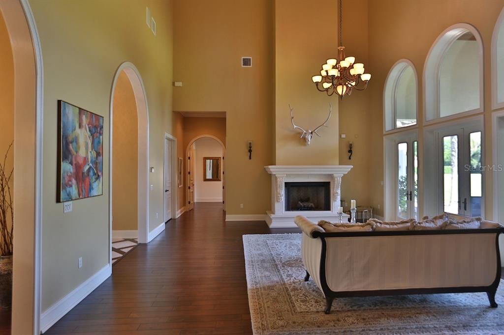 Chandelier, Fireplace, Interior, Living room, Wood Texture Flooring