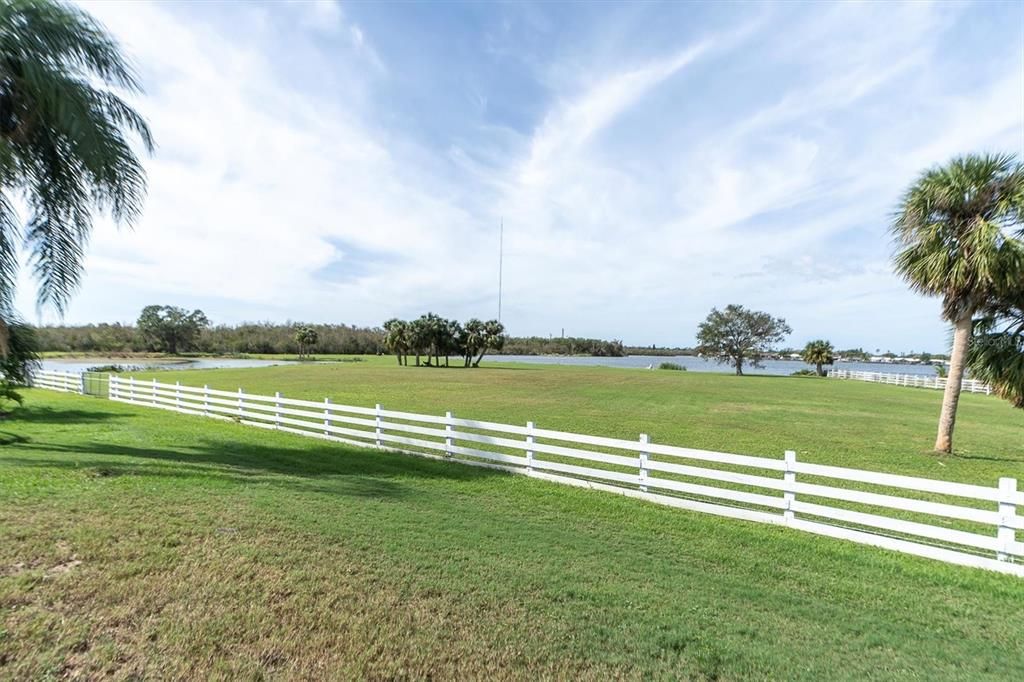Backyard, Exterior, Water