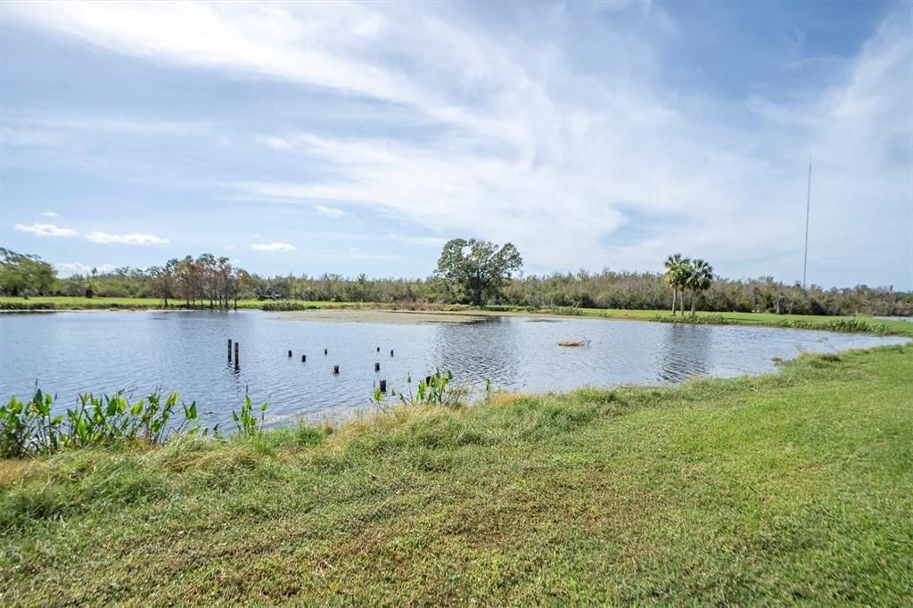 Exterior, Lake