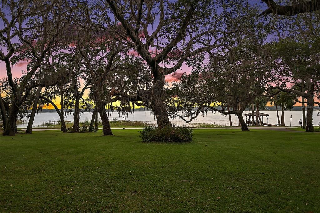 Backyard, Exterior, Lake, Water
