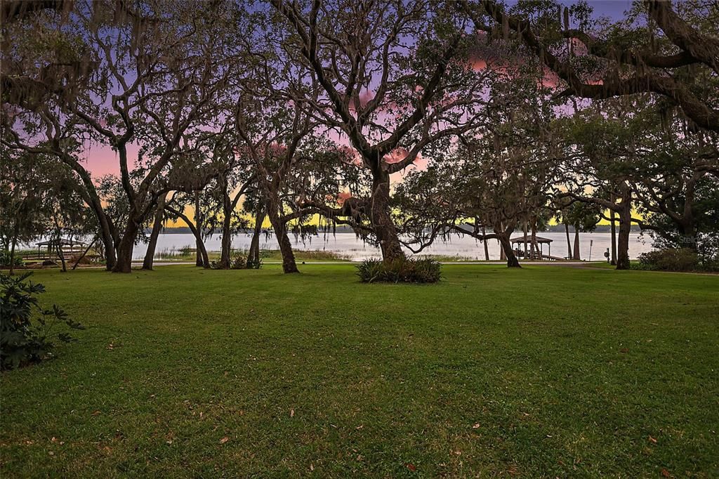 Backyard, Exterior, Water