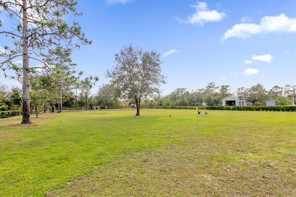 Backyard, Exterior