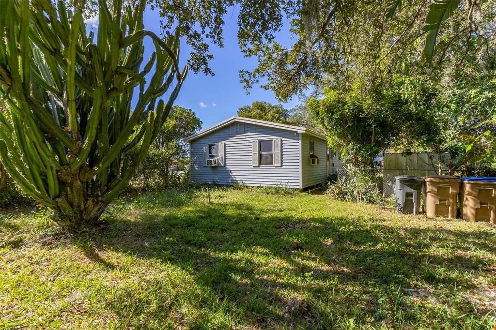 Backyard, Exterior