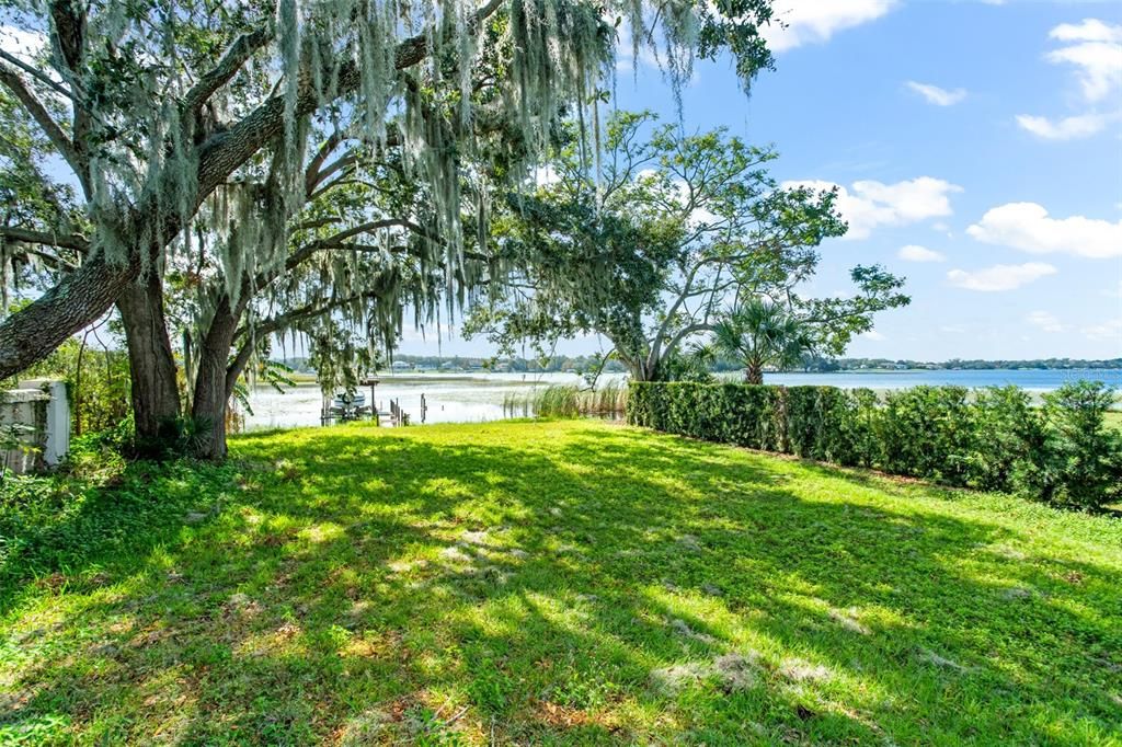 Backyard, Exterior, Water