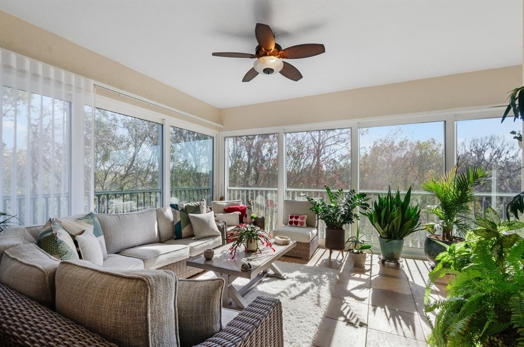 Interior, Living room, Sun Room, Wood Texture Flooring