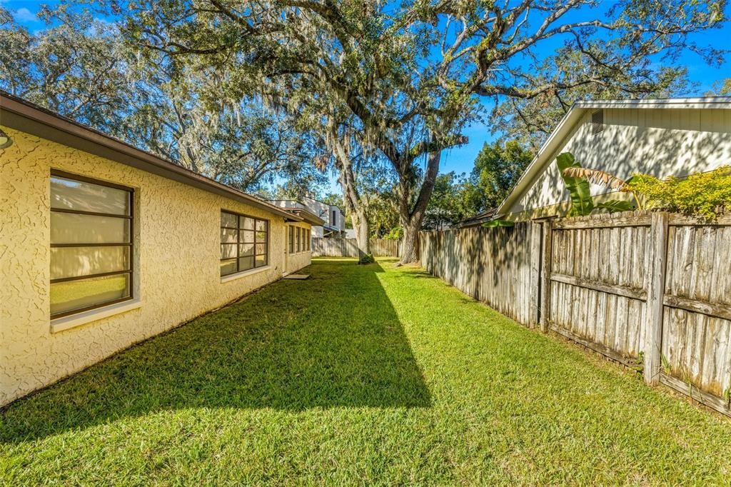 Backyard, Exterior