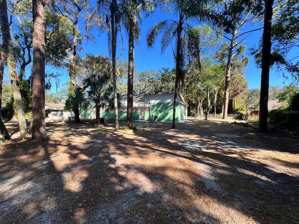 Backyard, Exterior