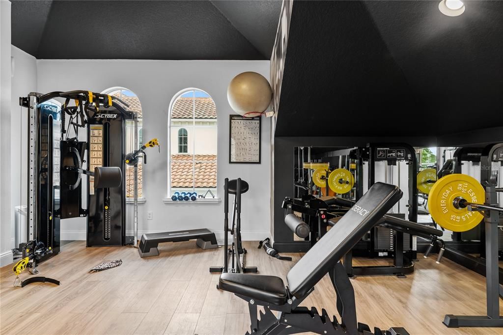 Fitness Equipment, Gym, Interior, Wood Texture Flooring