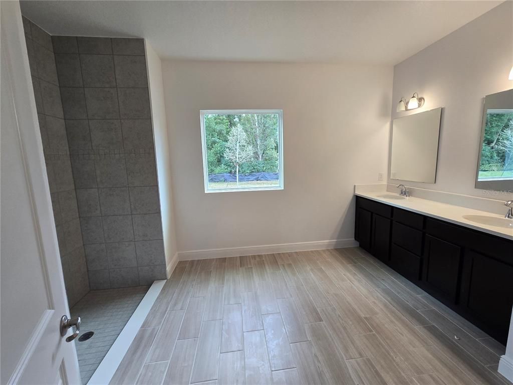 Bathroom, Dual Sink Vanities, Interior, Wood Texture Flooring