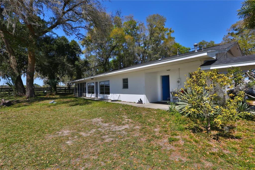 Backyard, Exterior