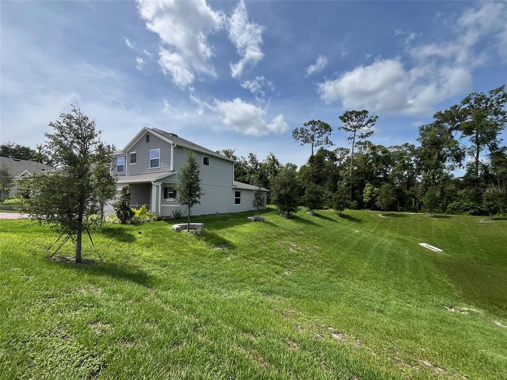 Backyard, Exterior