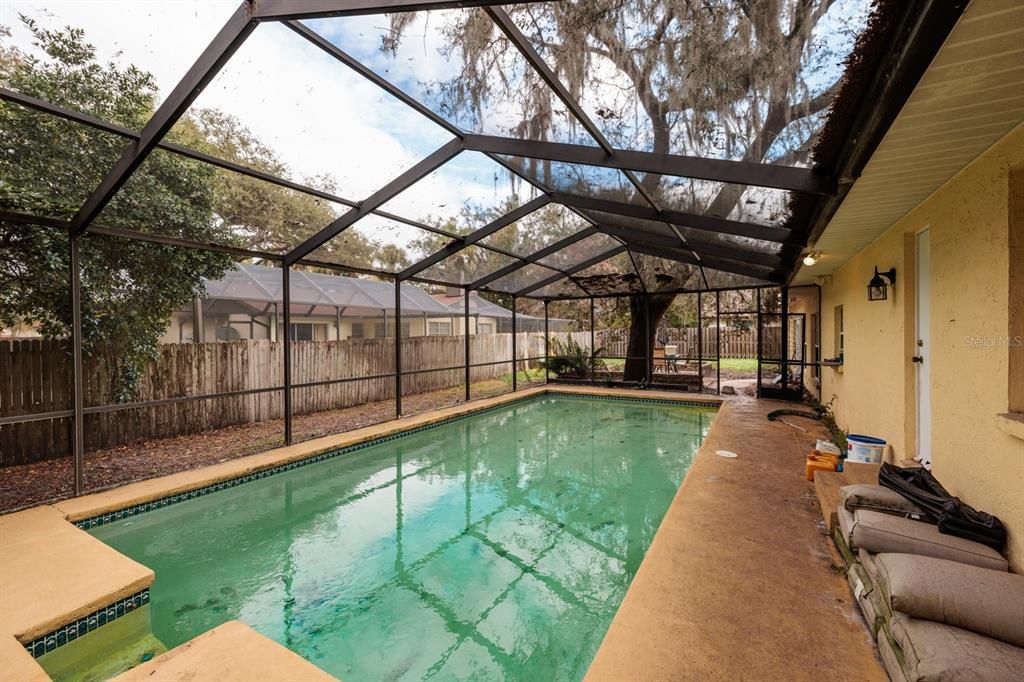 Glass Ceilings, Interior, Pool, Sun Room