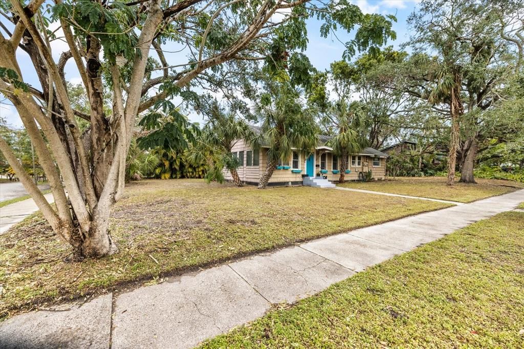 Backyard, Exterior