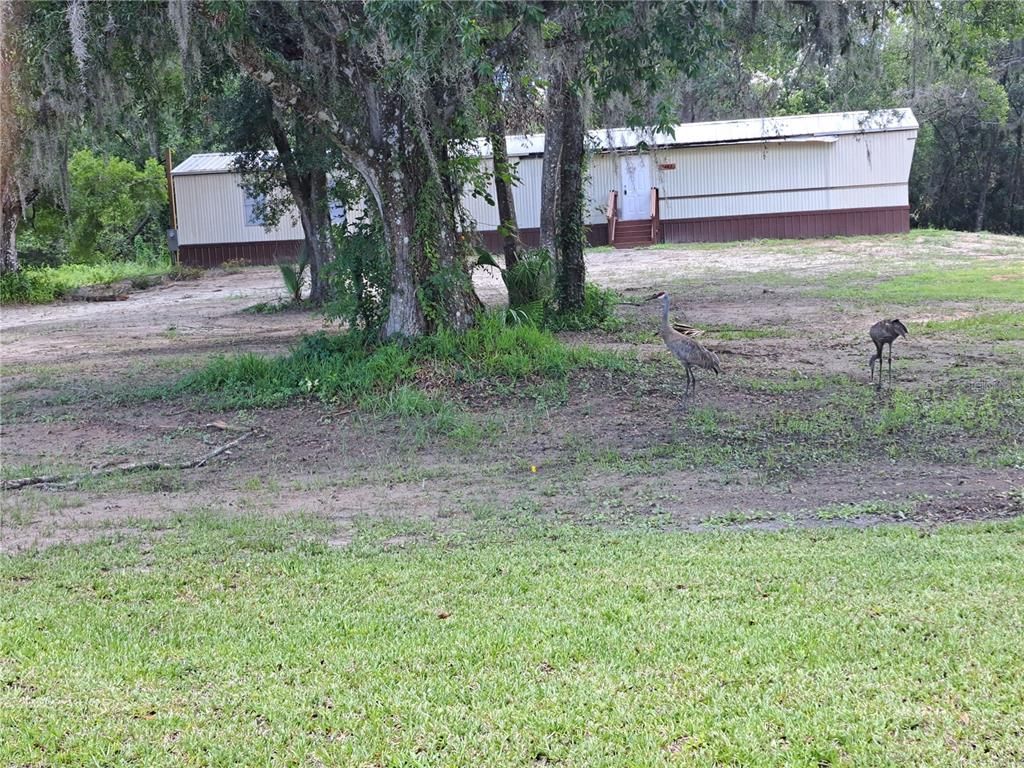 Backyard, Exterior