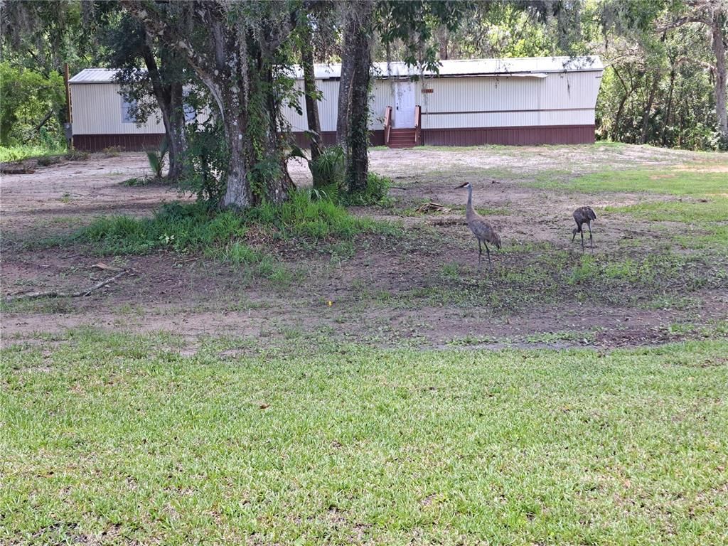 Backyard, Exterior