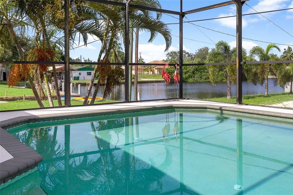 Interior, Pool, Sun Room, Water
