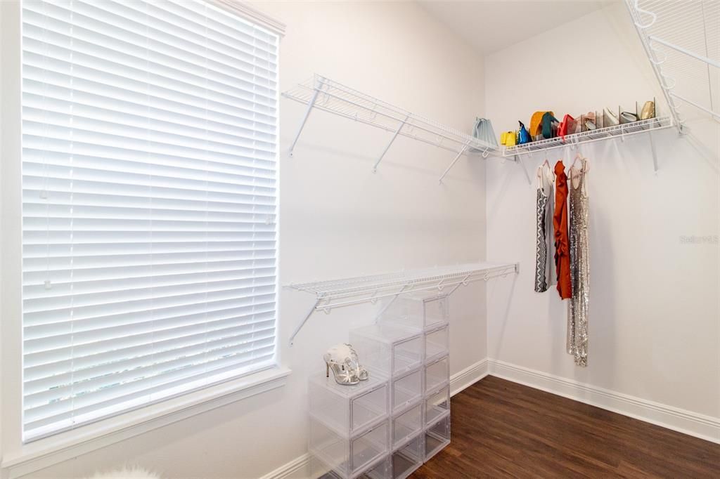 Interior, Walk-in Closets, Wood Texture Flooring
