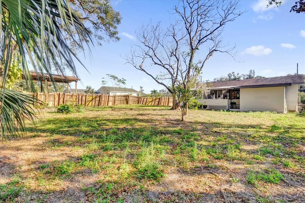 Backyard, Exterior