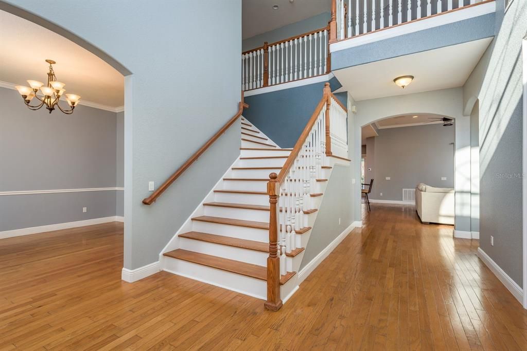 Chandelier, Interior, Wood Texture Flooring