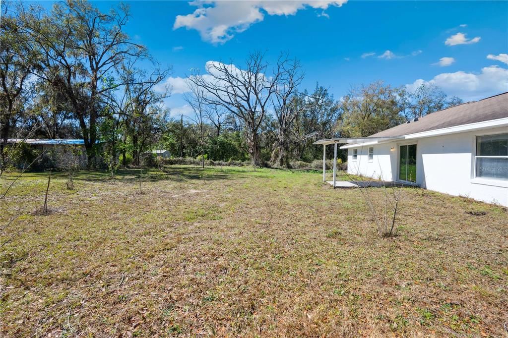 Backyard, Exterior