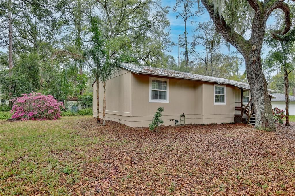 Backyard, Exterior