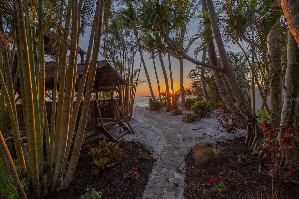 Backyard, Exterior, Water