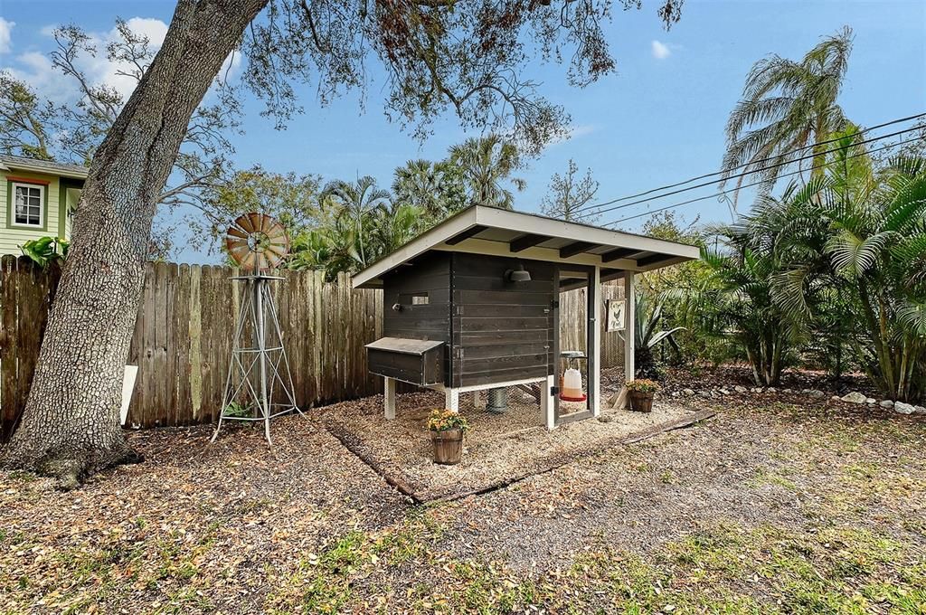Backyard, Exterior