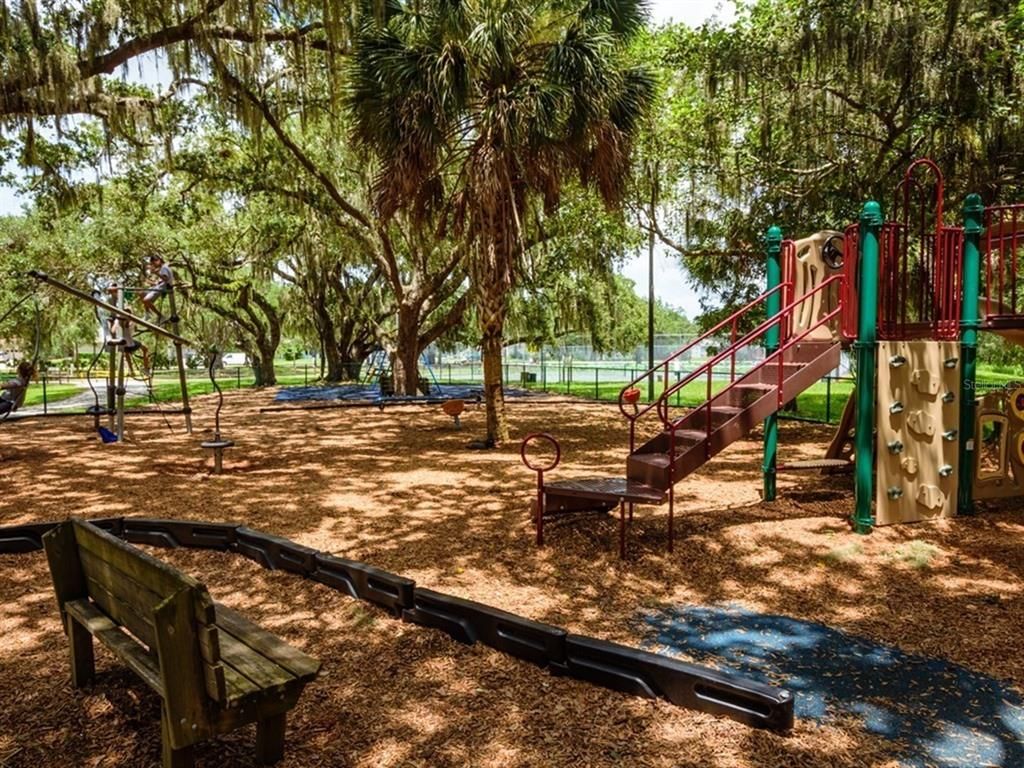 Backyard, Exterior, Playground