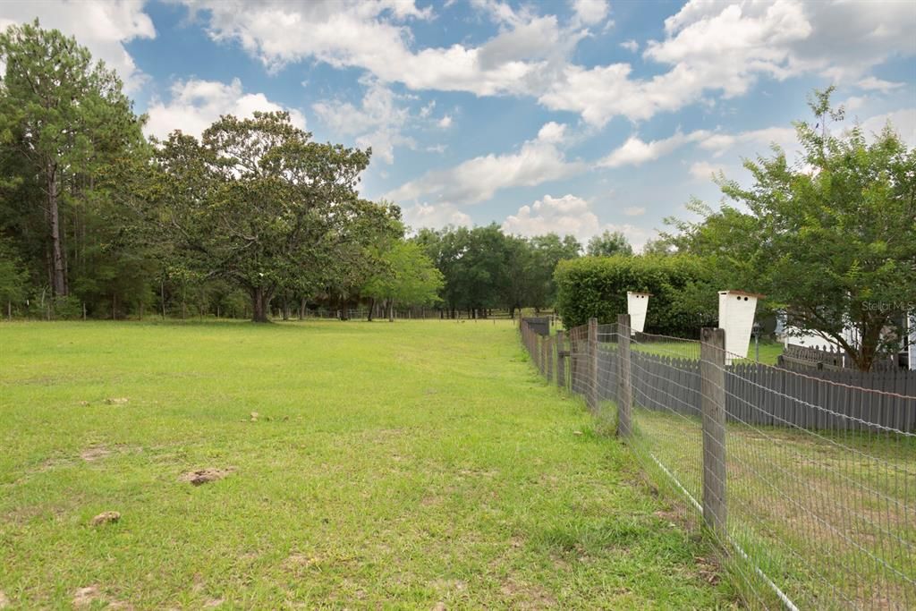 Backyard, Exterior