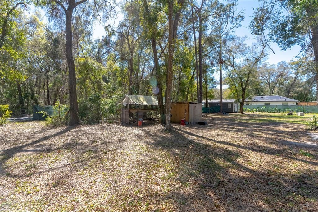 Backyard, Exterior