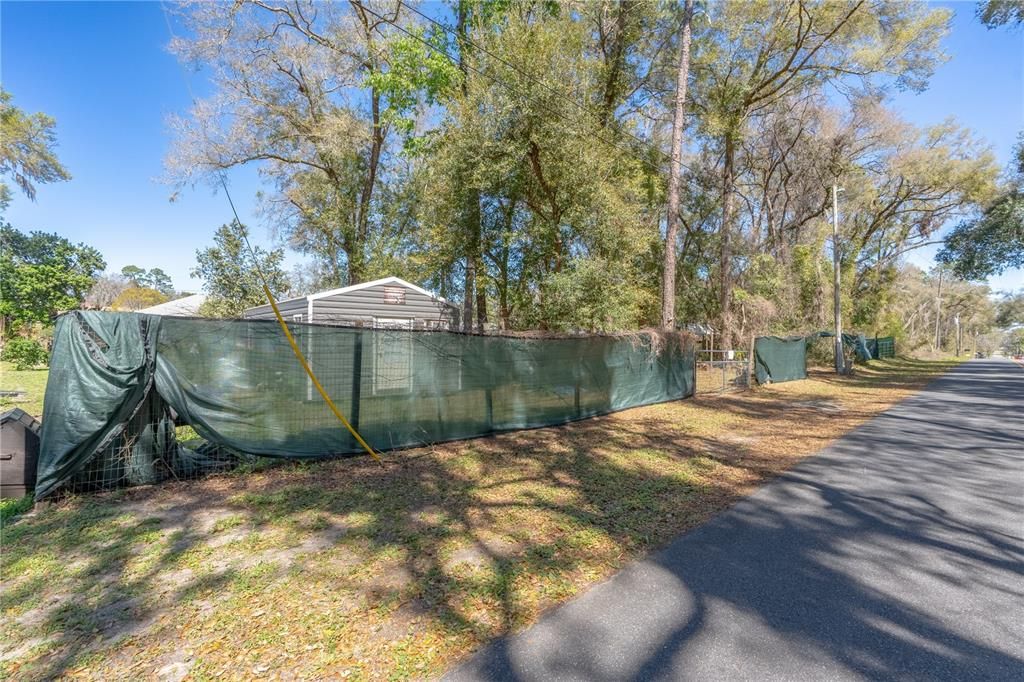 Backyard, Exterior