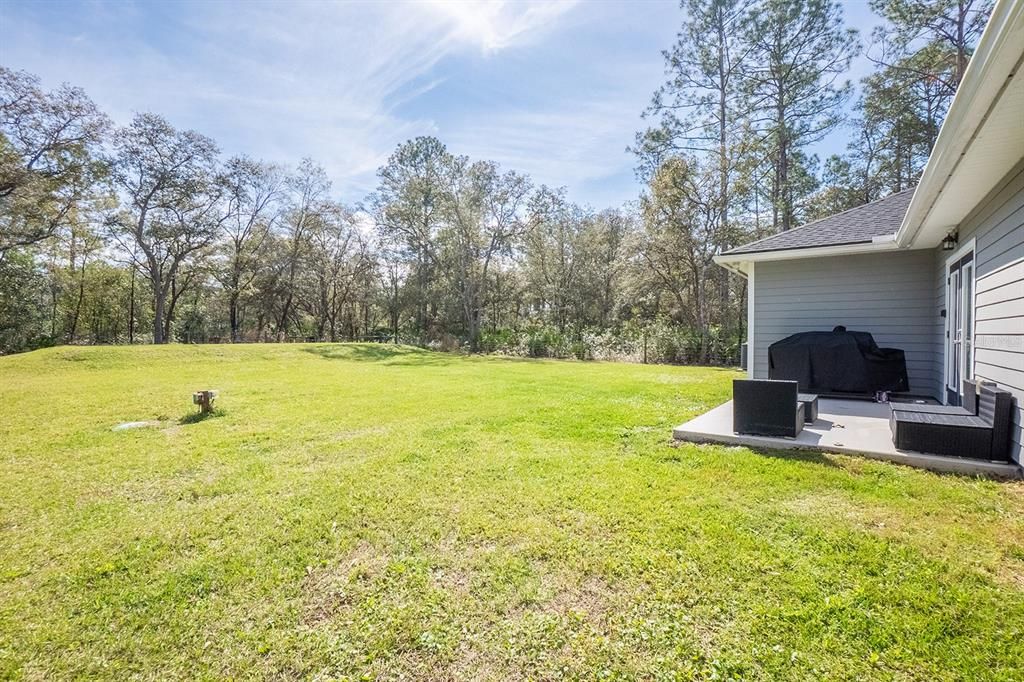 Backyard, Exterior