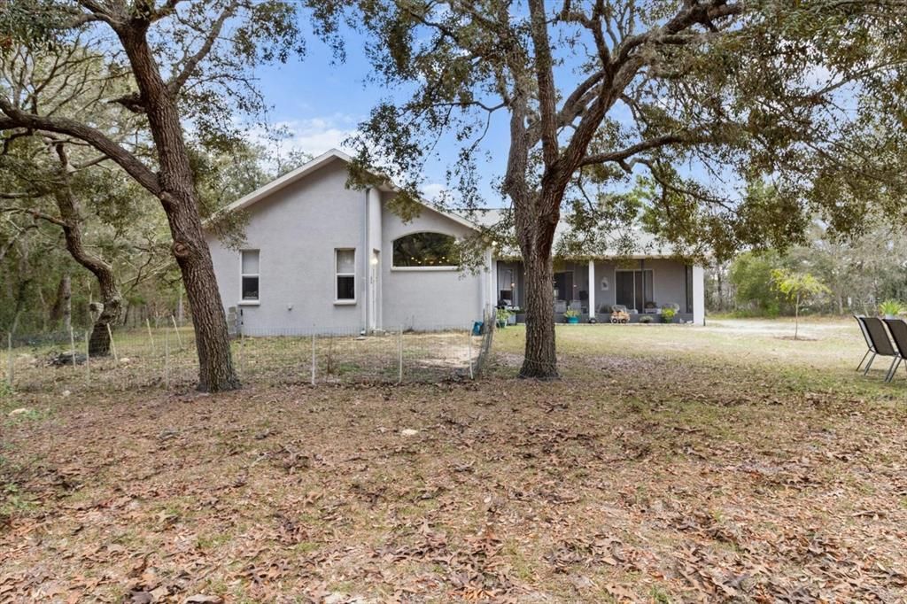 Backyard, Exterior