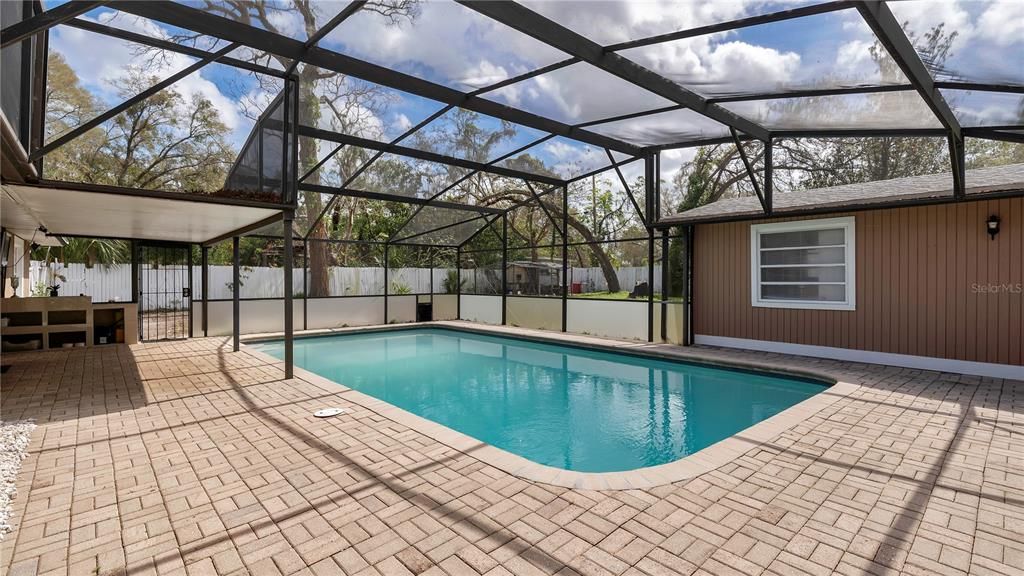 Glass Ceilings, Interior, Pool, Sun Room