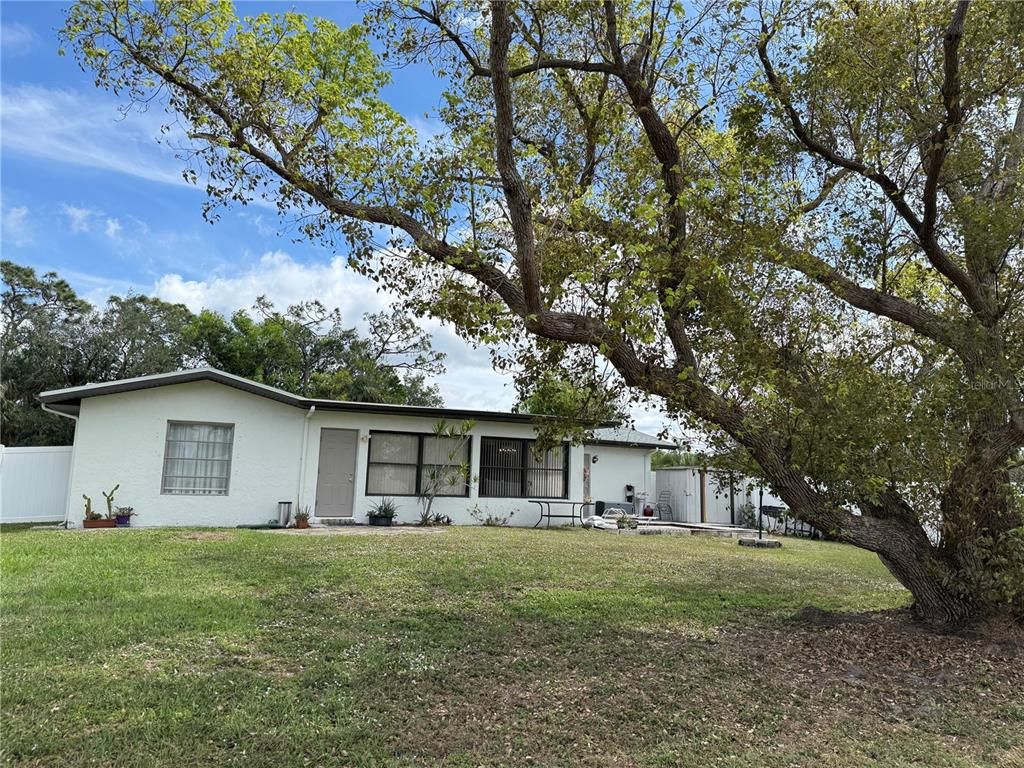 Backyard, Exterior