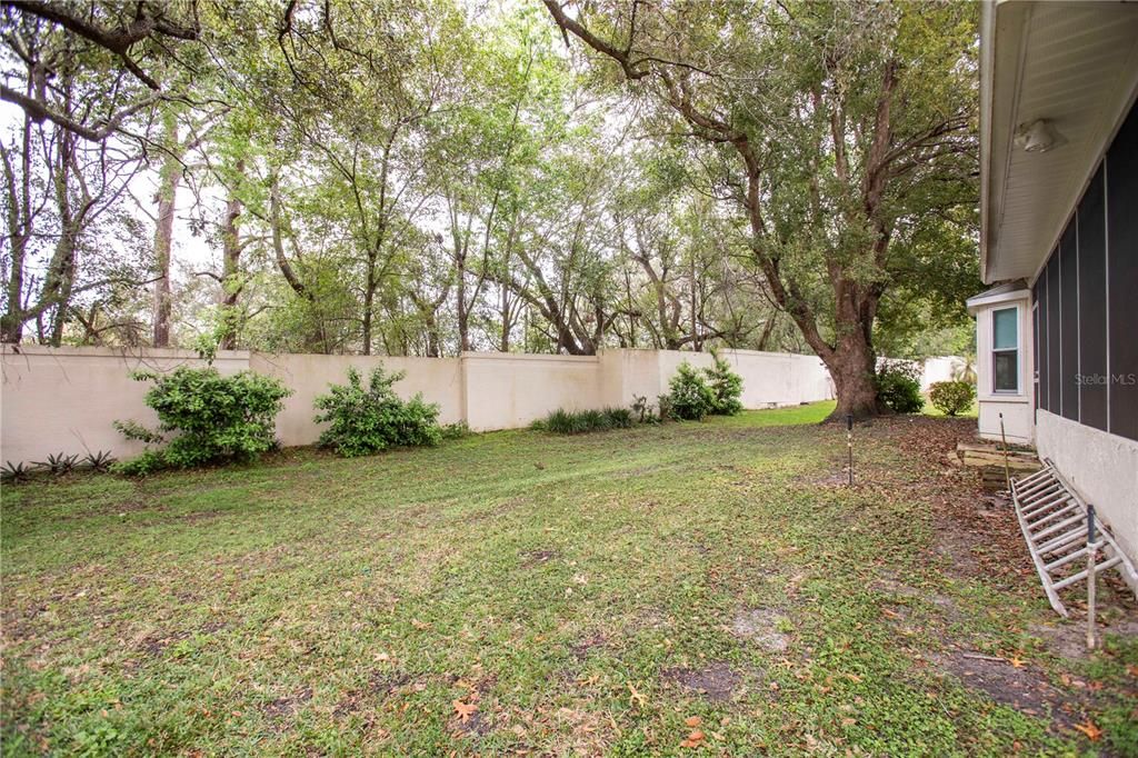 Backyard, Exterior