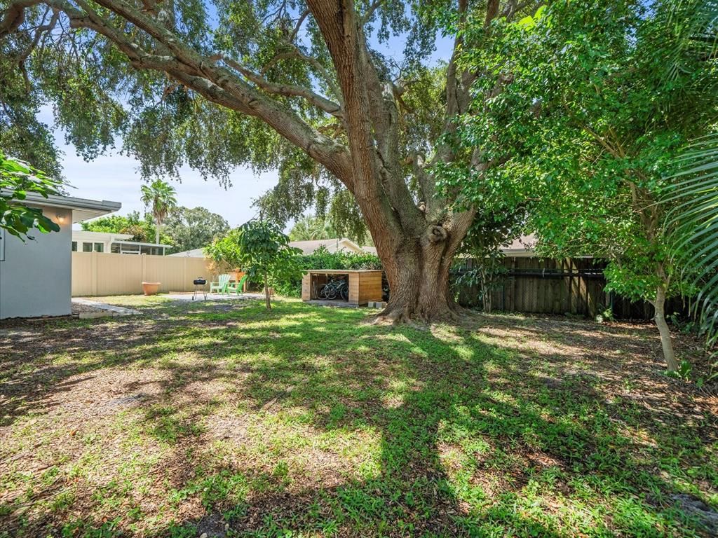 Backyard, Exterior