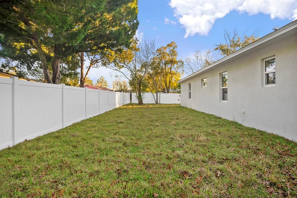 Backyard, Exterior