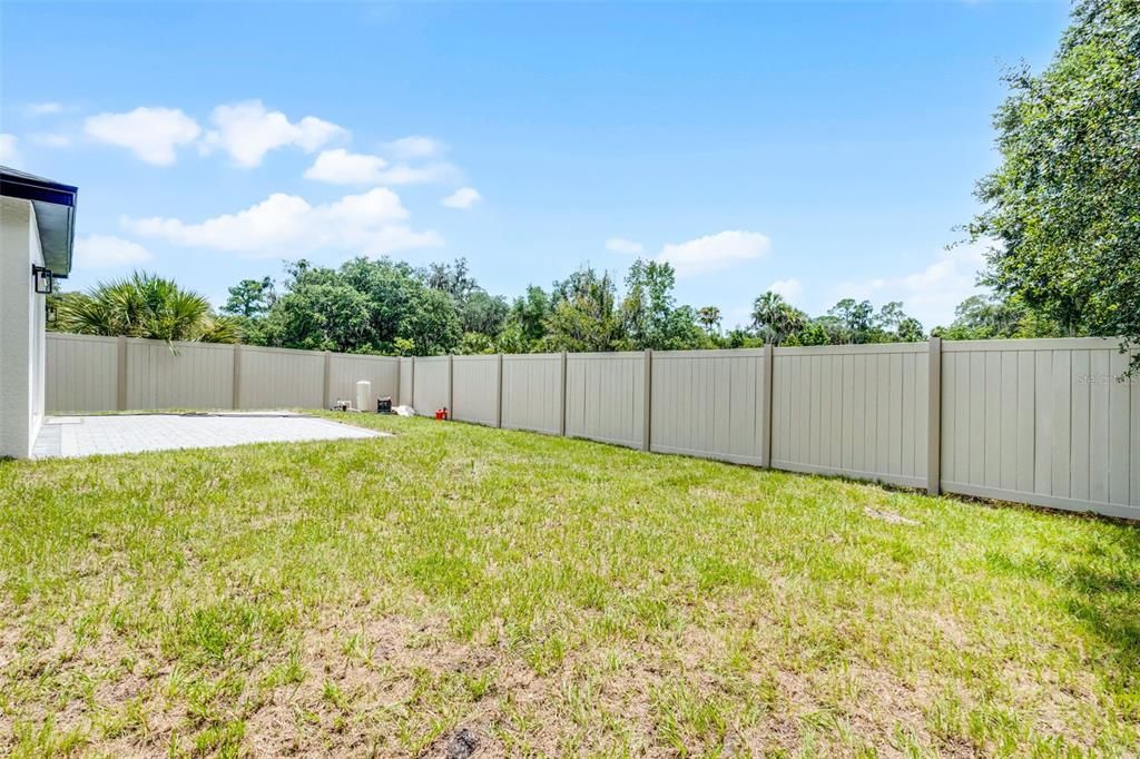 Backyard, Exterior