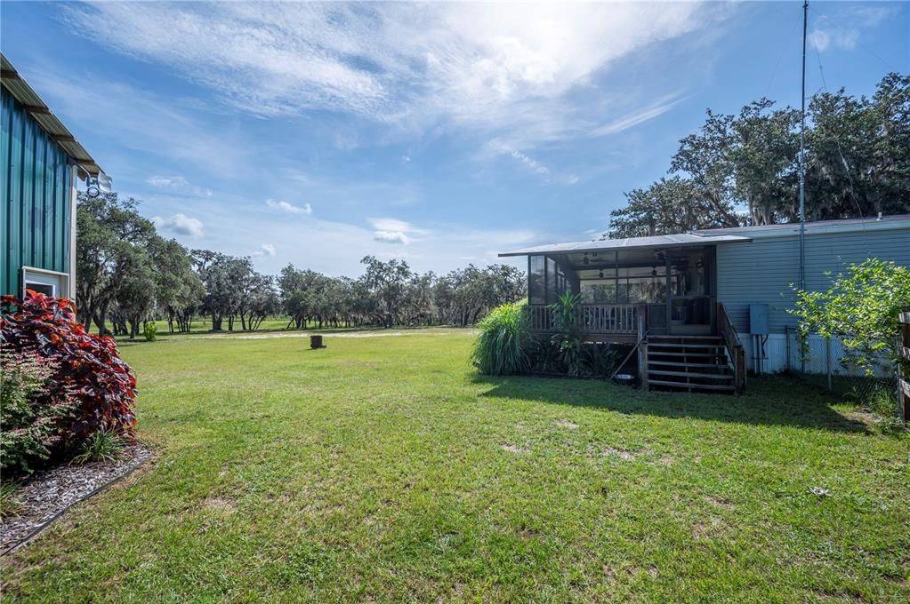 Backyard, Exterior