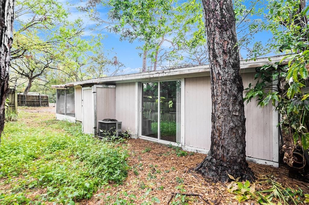 Backyard, Exterior