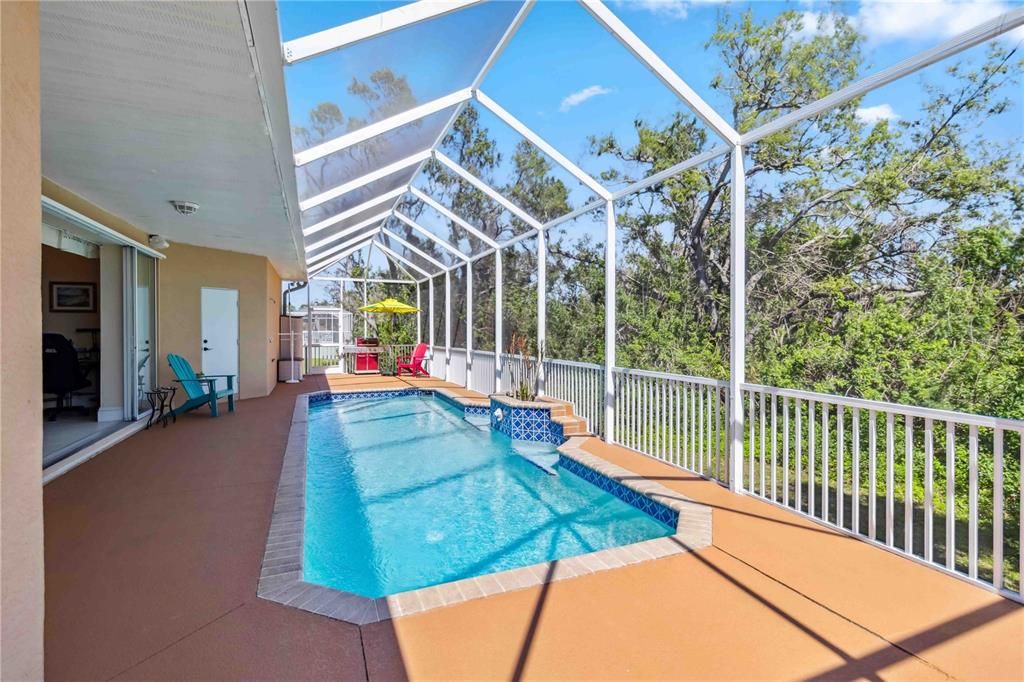 Glass Ceilings, Interior, Pool, Sun Room