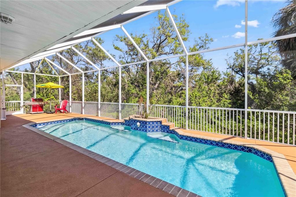 Glass Ceilings, Interior, Pool, Sun Room