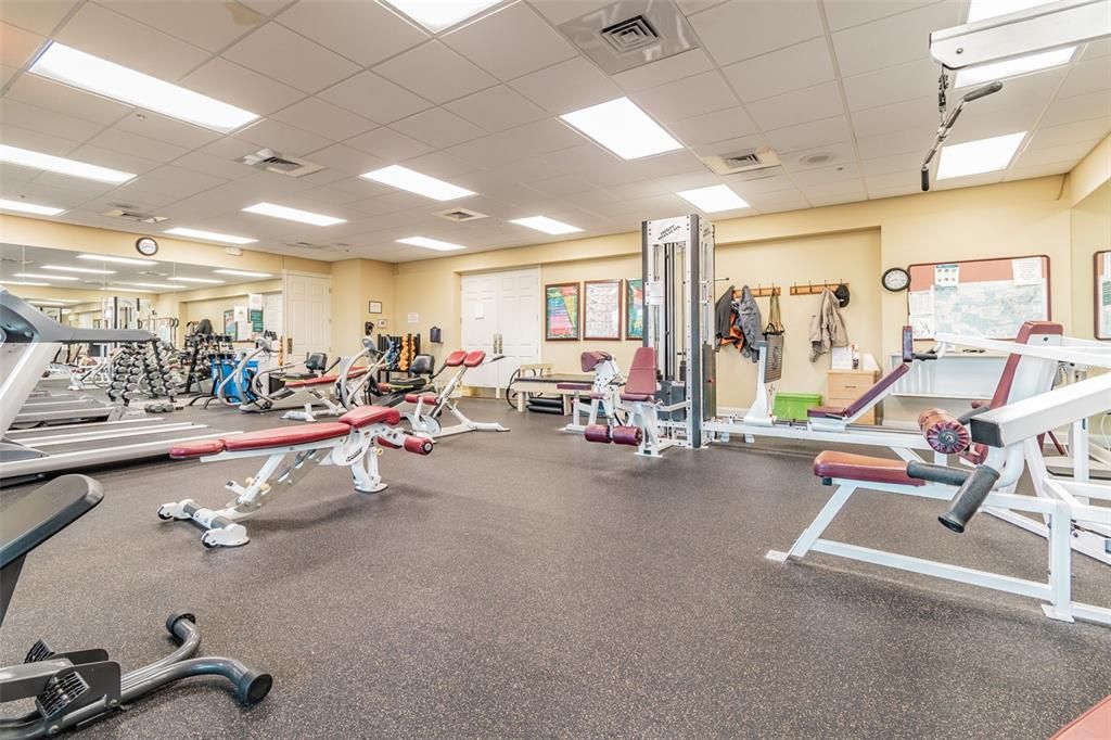 Fitness Equipment, Gym, Interior, Recessed Lighting