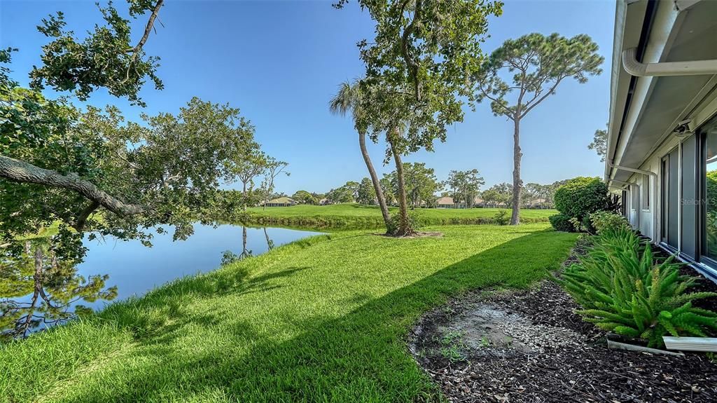 Backyard, Exterior, Water