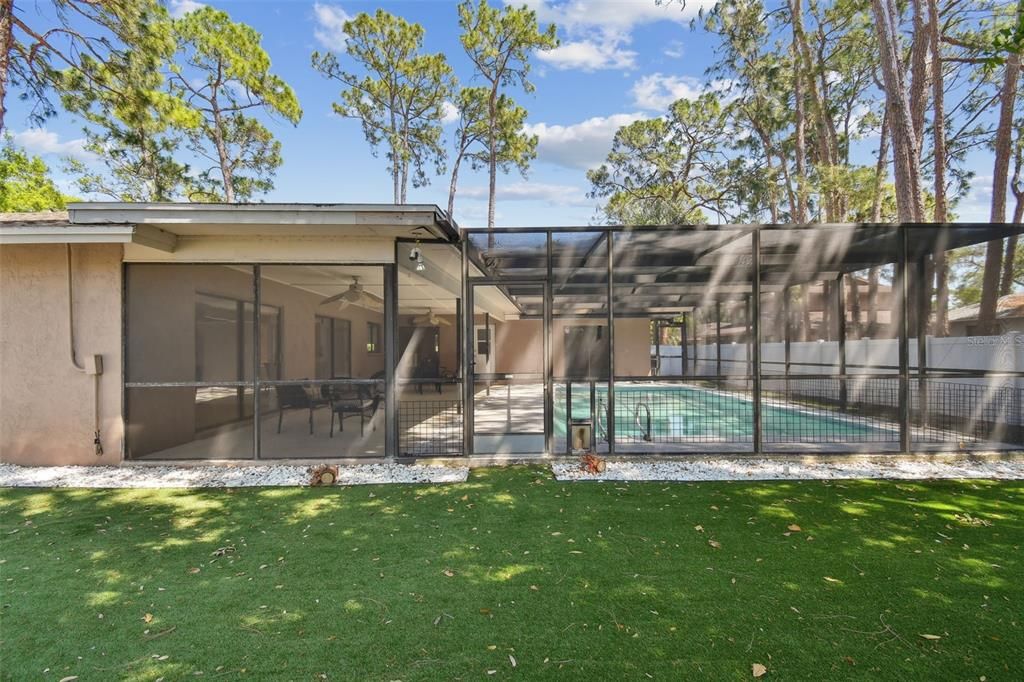 Backyard, Exterior