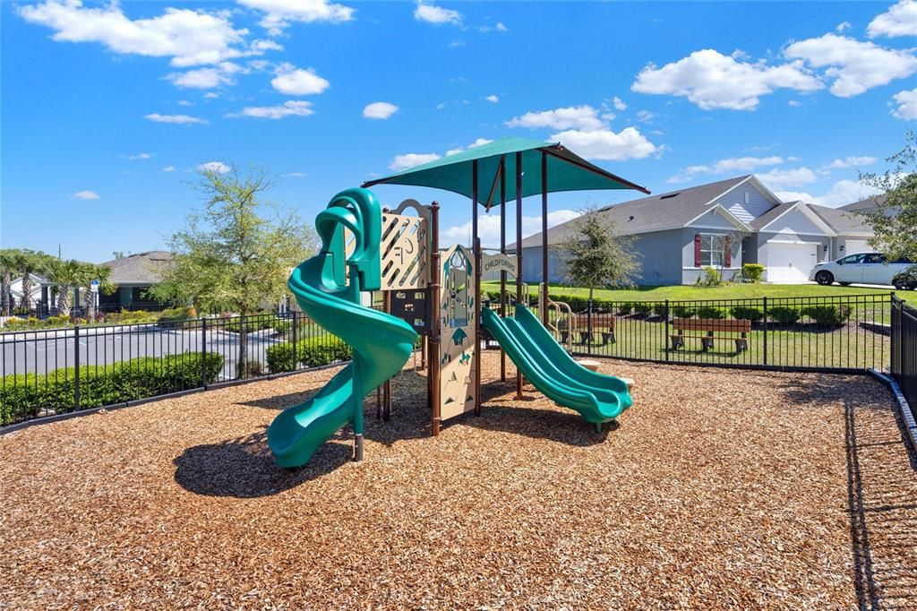 Backyard, Exterior, Playground