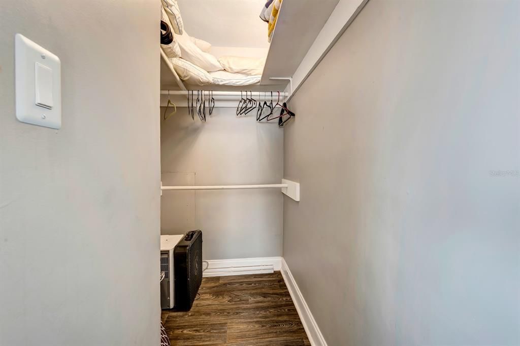 Interior, Walk-in Closets, Wood Texture Flooring