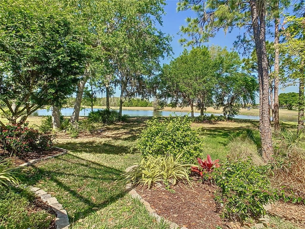 Backyard, Exterior, Water
