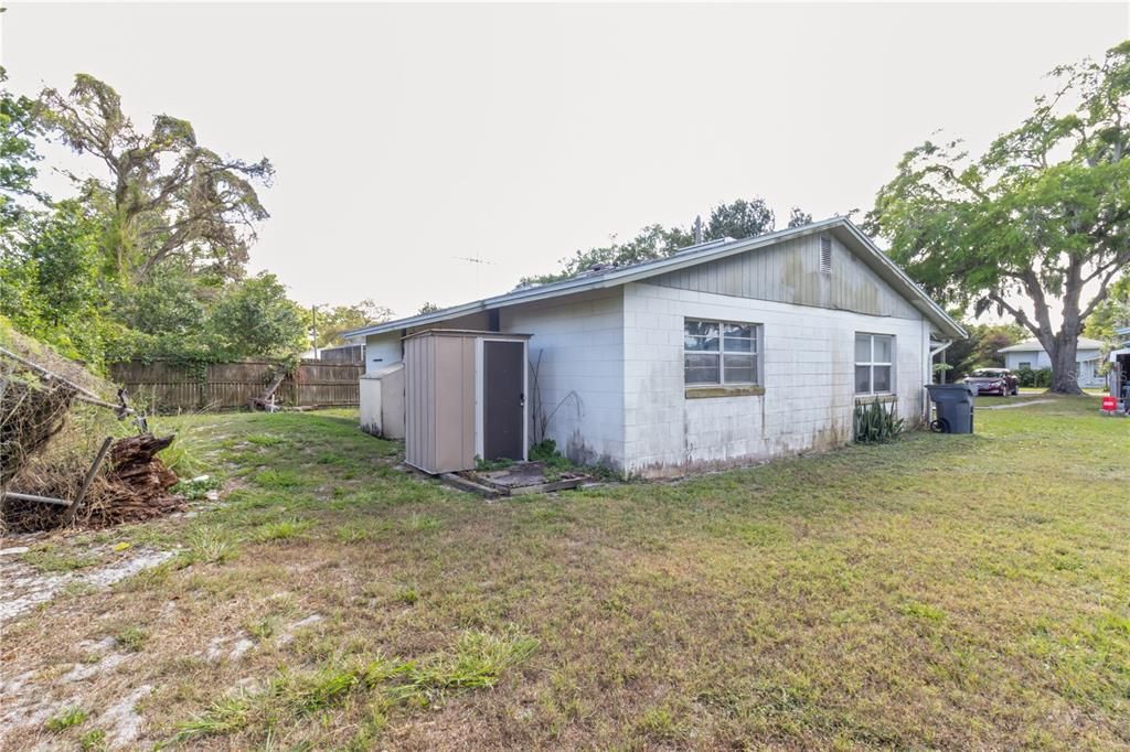 Backyard, Exterior